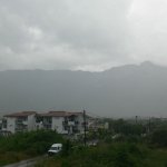 balazsh 2011